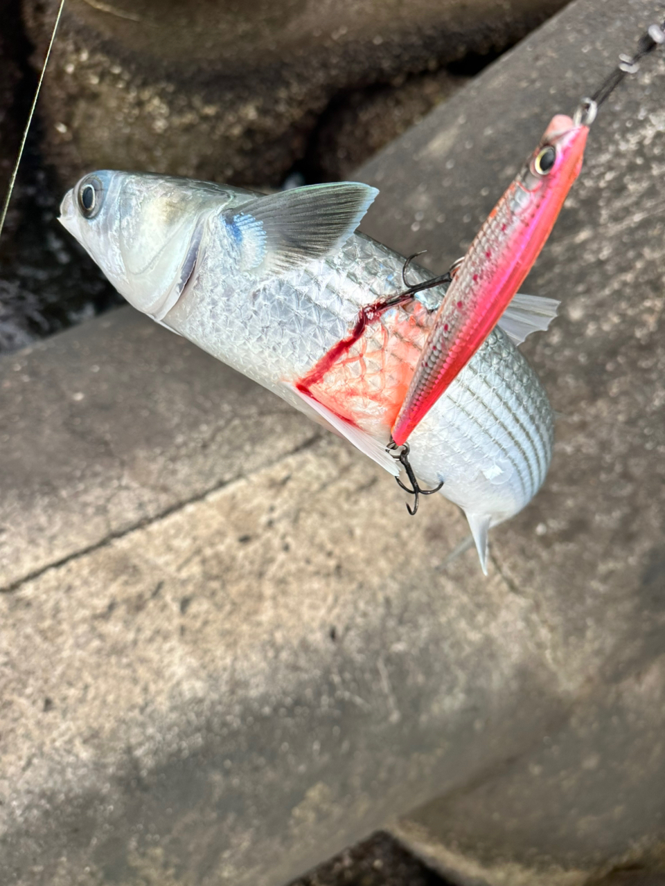 SHIMANO 19コルトスナイパー SS S106MHの最安値・インプレ・釣果