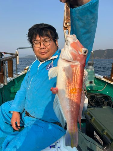 シロアマダイの釣果