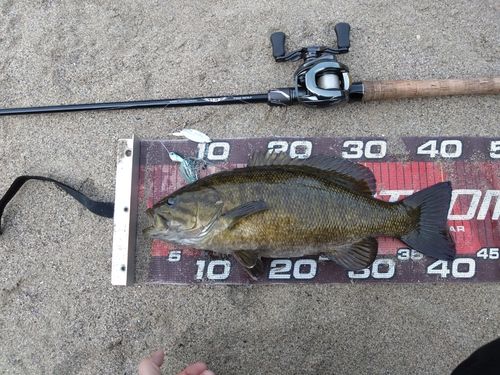 スモールマウスバスの釣果