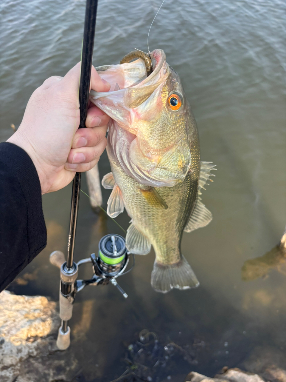 SHIMANO 22バンタム 267Lの最安値・インプレ・釣果 | 本音の