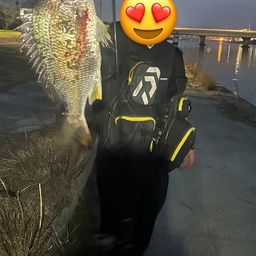 キビレ