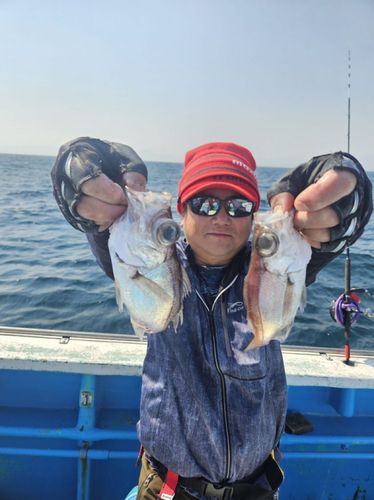 クロムツの釣果