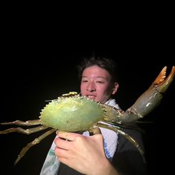 ノコギリガザミ