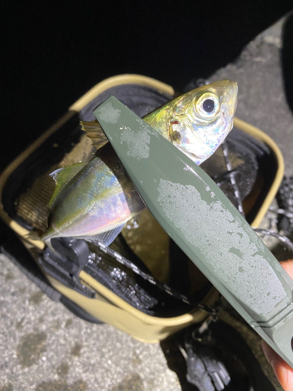 YAMAGA Blanks ブルーカレント 510の最安値・インプレ・釣果
