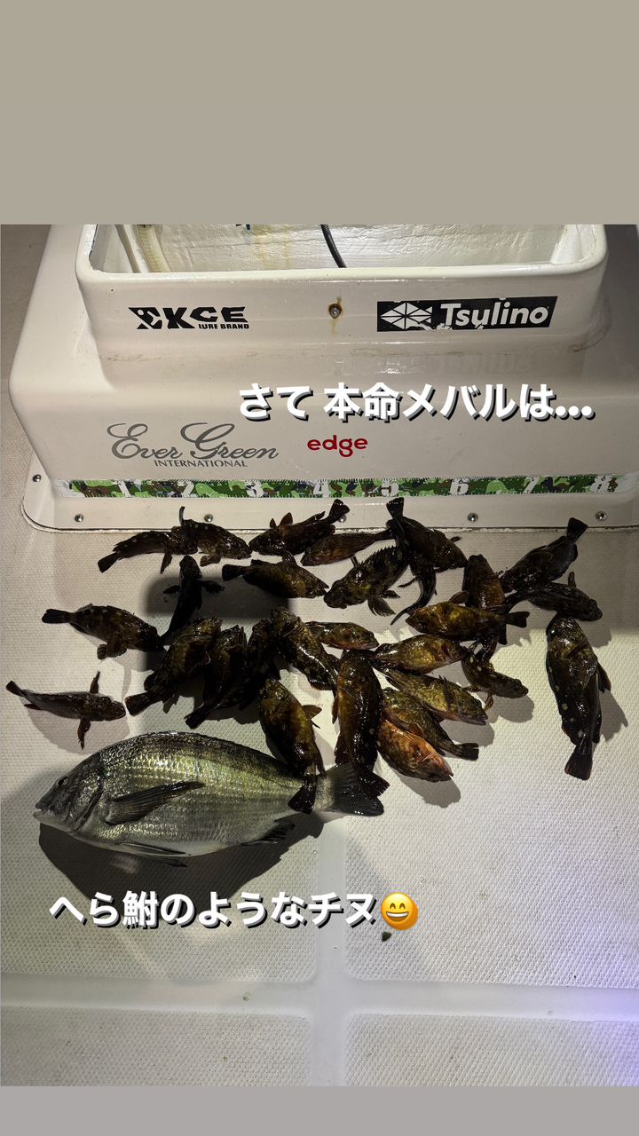 名古屋港ボートシーバスガイド edgeさんの釣果 3枚目の画像