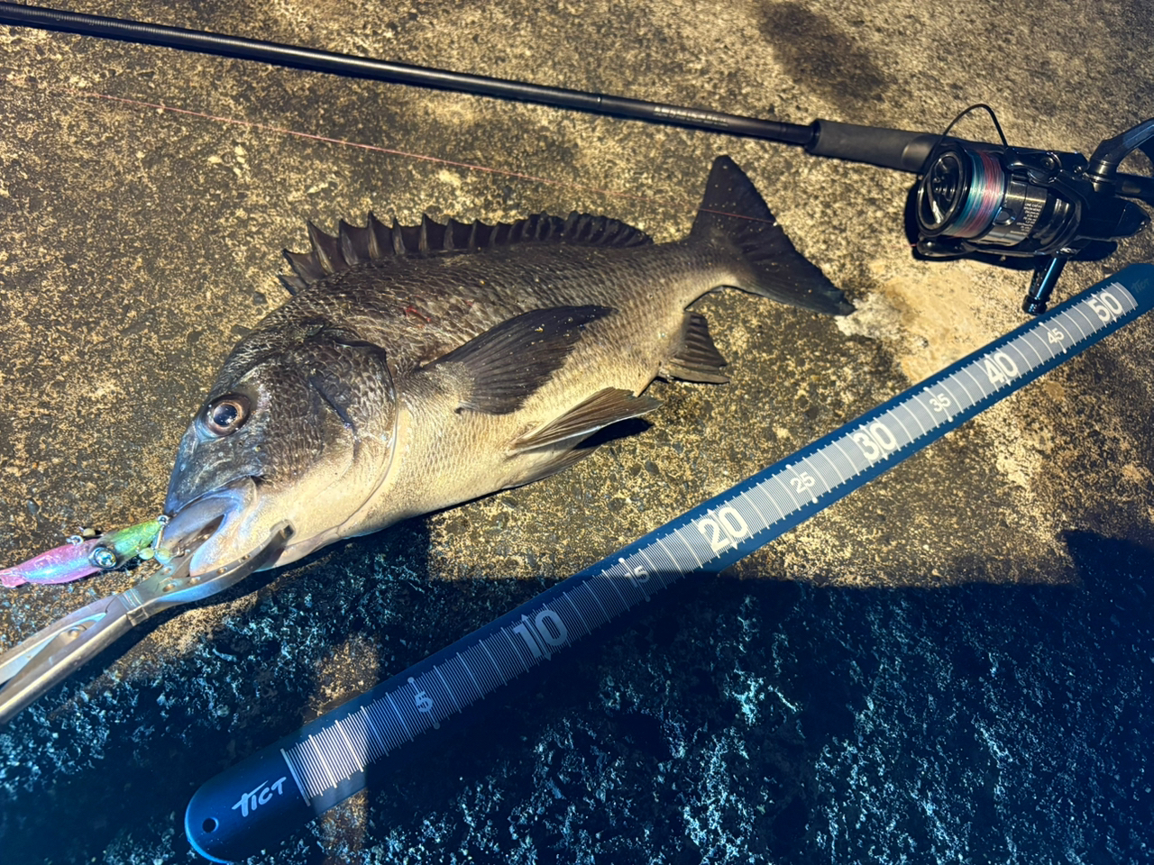 SHIMANO 23ディアルーナ S76MLの最安値・インプレ・釣果 | 本音