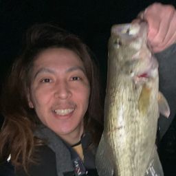 ブラックバス