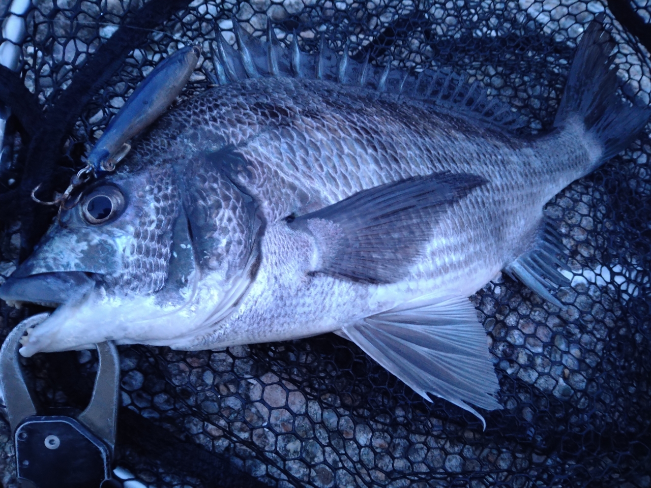SHIMANO 23ルアーマチック（ソルトルアー推奨モデル） S86MLの最