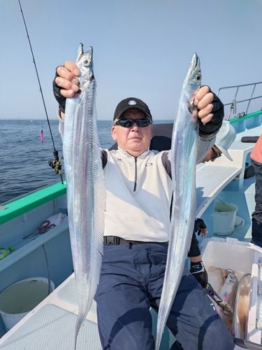 タチウオの釣果