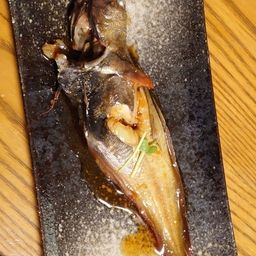 エゾイソアイナメ