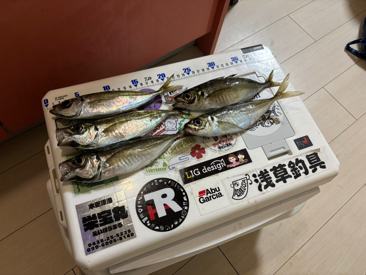 アジ