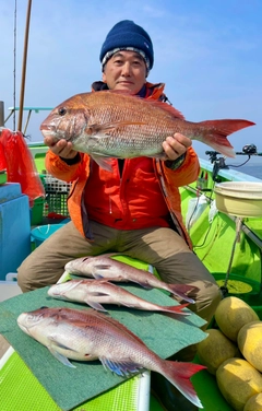 マダイの釣果