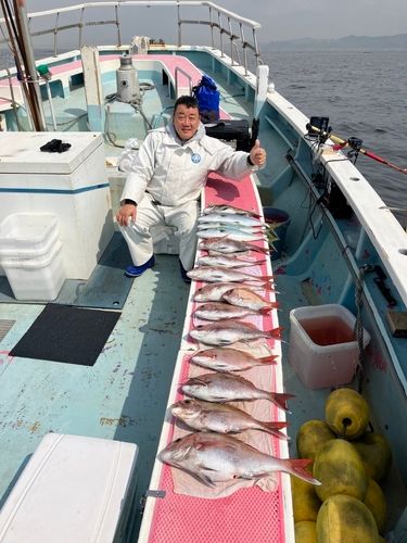 マダイの釣果