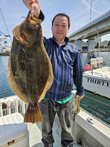 ヒラメの釣果