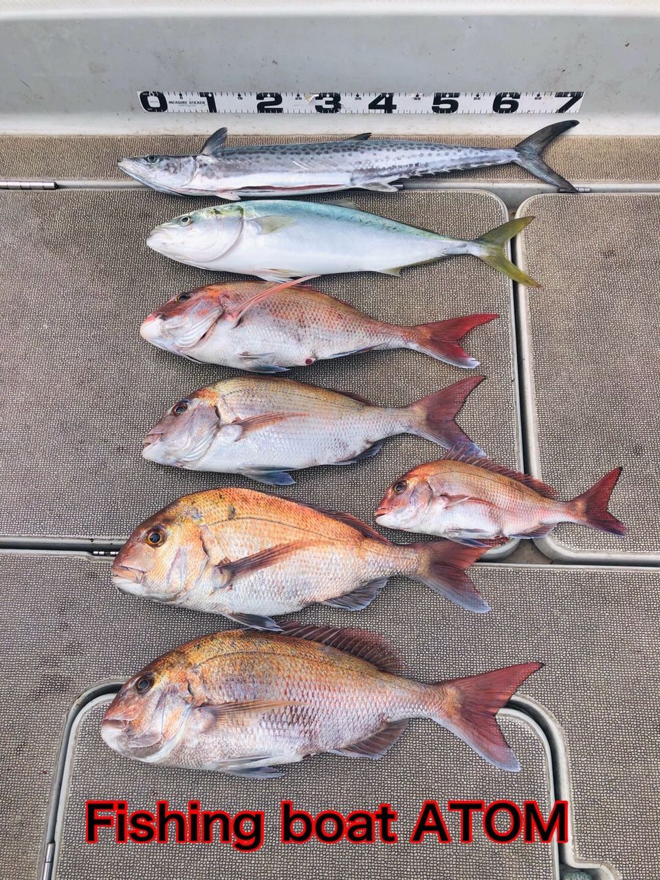 fishingboat.atomさんの釣果 2枚目の画像