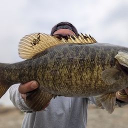 スモールマウスバス