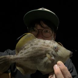カワハギ