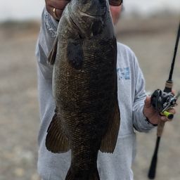 スモールマウスバス