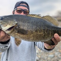 スモールマウスバス