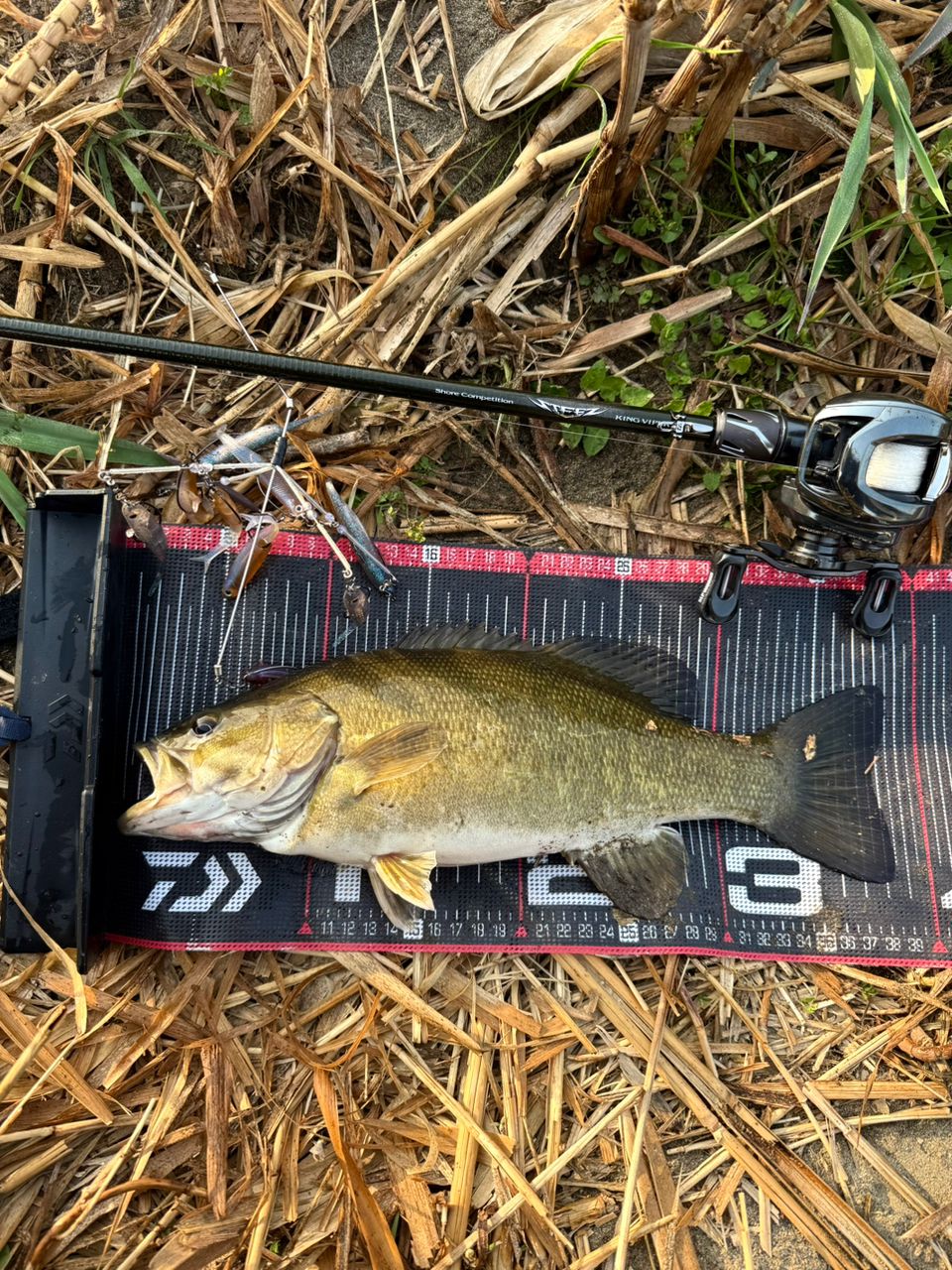 スモールマウスバス