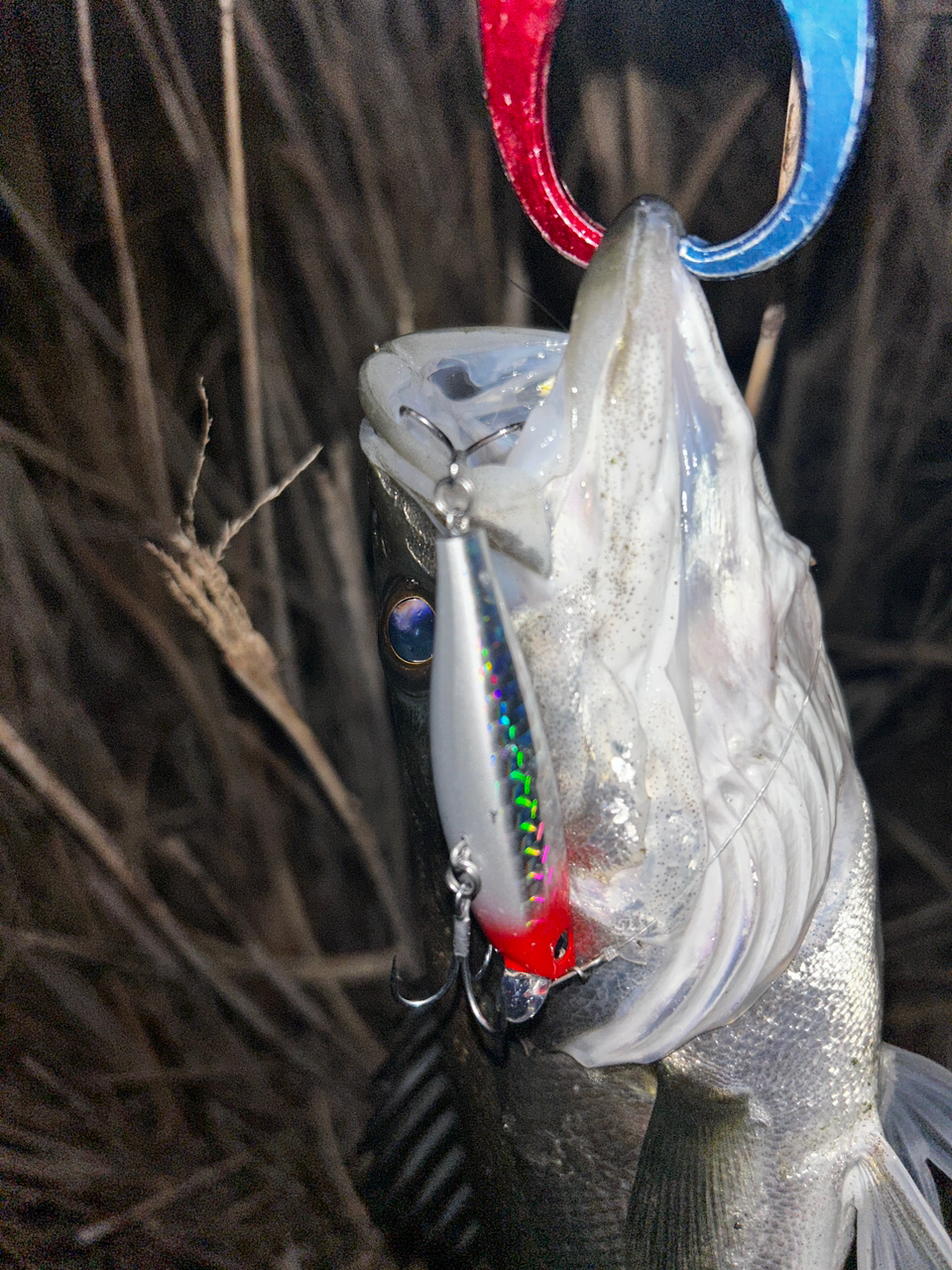 DAIWA 21モアザン ブランジーノ EX AGS 94MLの最安値・インプレ