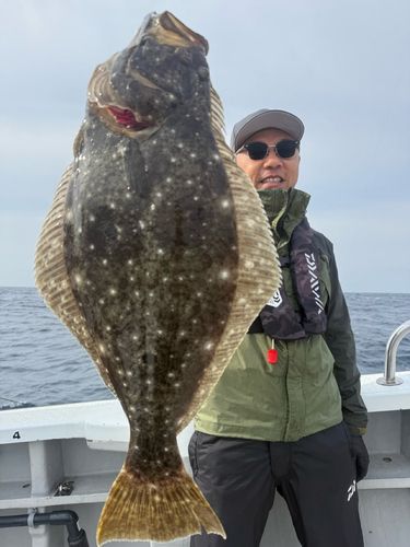 ヒラメの釣果