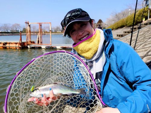 ニジマスの釣果