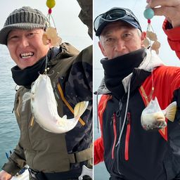 ショウサイフグ