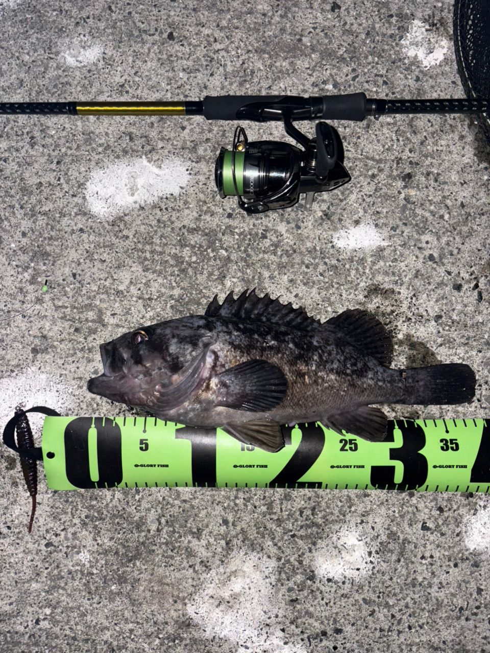 PALMS ラークシューター LSGS-88MH+の最安値・インプレ・釣果 | 本音の