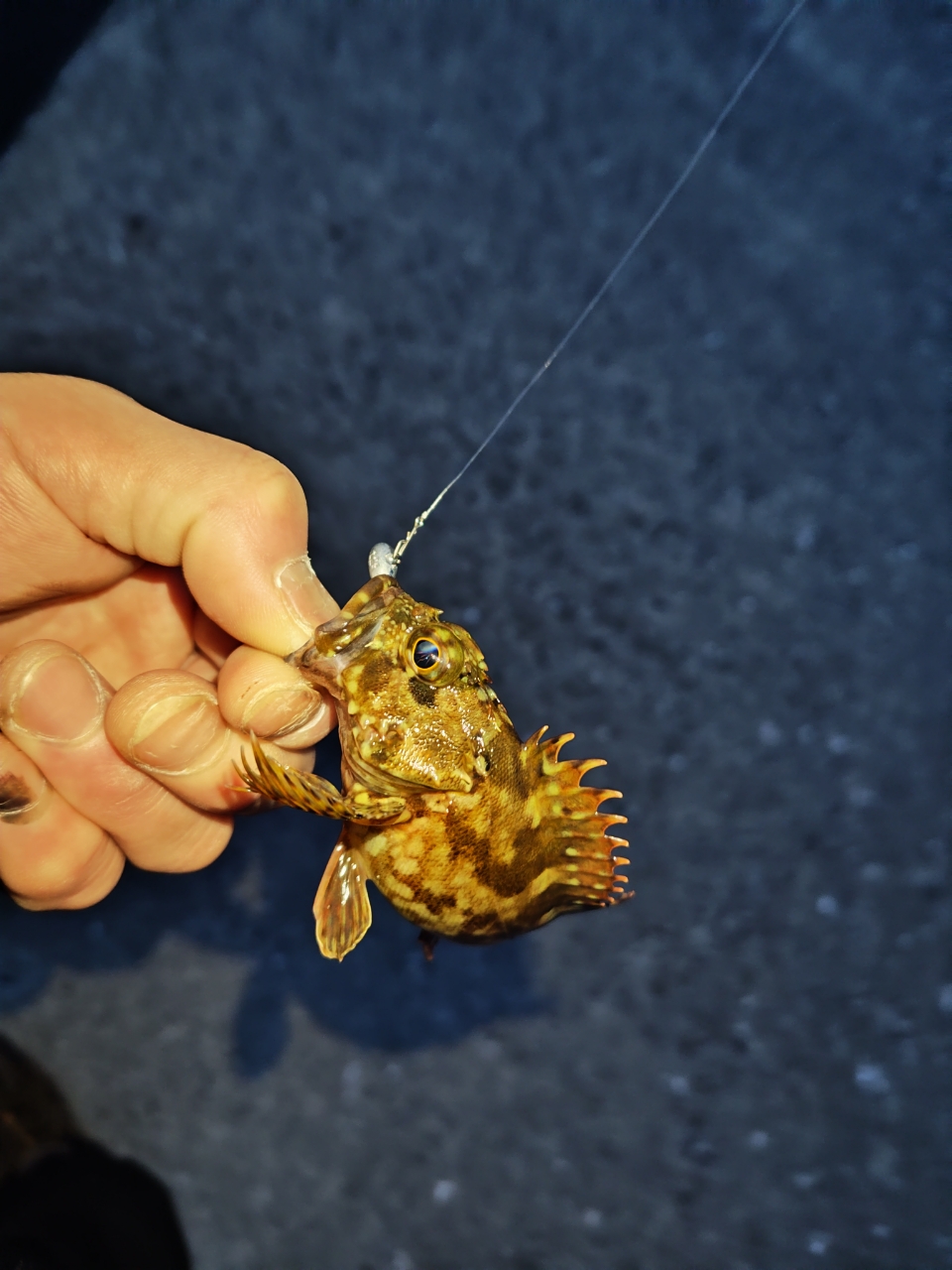 SHIMANO 20ソアレ エクスチューン S610SUL-Sの最安値・インプレ