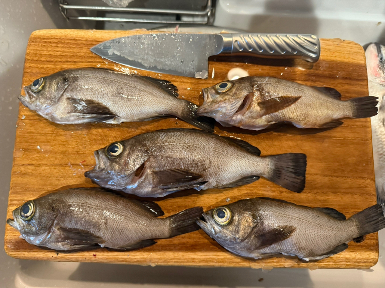 シマノ(SHIMANO) ソアレCI4+ S610LS アジング 351562