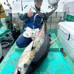 キハダマグロ