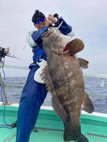 クエの釣果