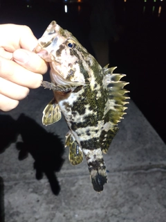 釣果