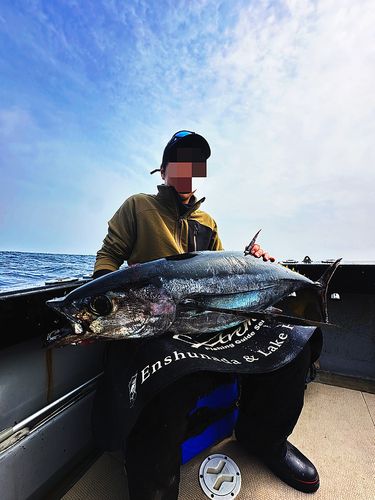 ビンチョウマグロ