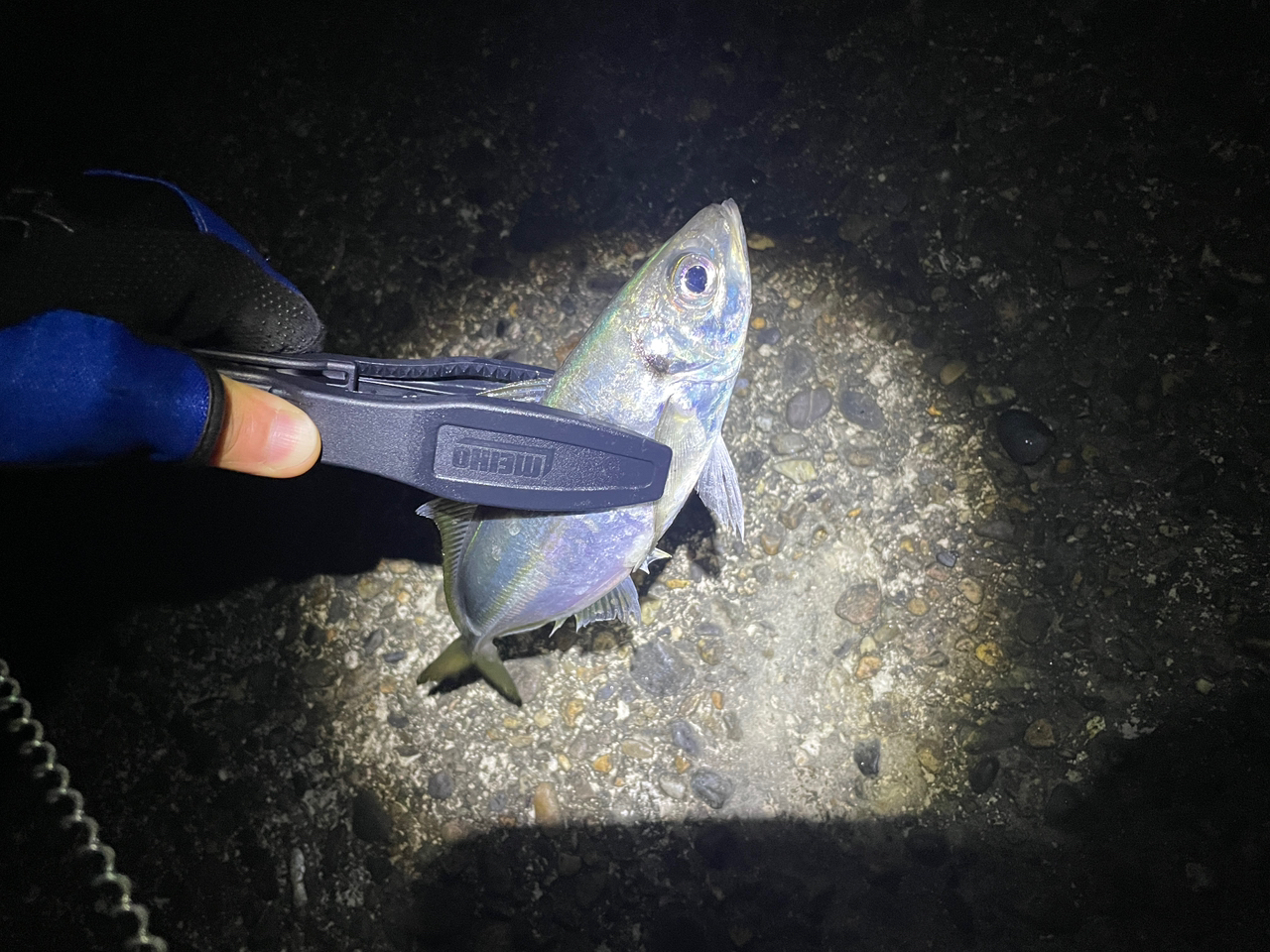 SHIMANO 23ソアレ BB アジング S58UL-Sの最安値・インプレ・釣果