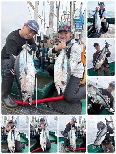 ビンチョウマグロの釣果