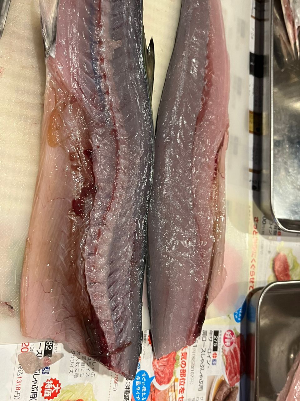 サゴシ