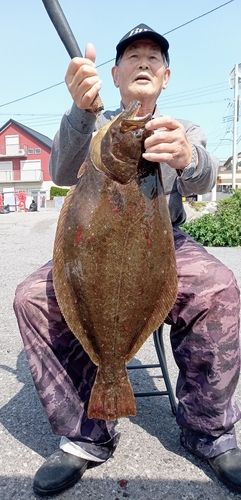 ヒラメの釣果