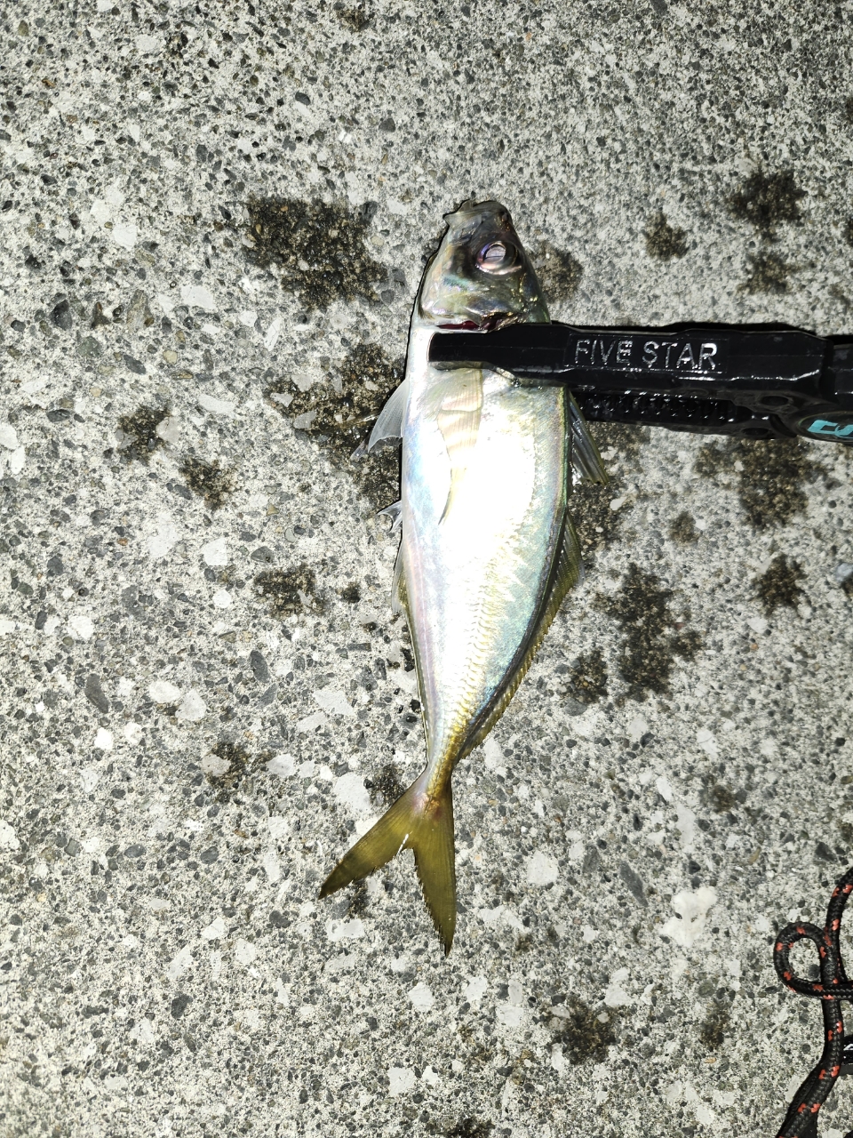 SHIMANO 19ソアレ BB S76UL-Sの最安値・インプレ・釣果 | 本音の