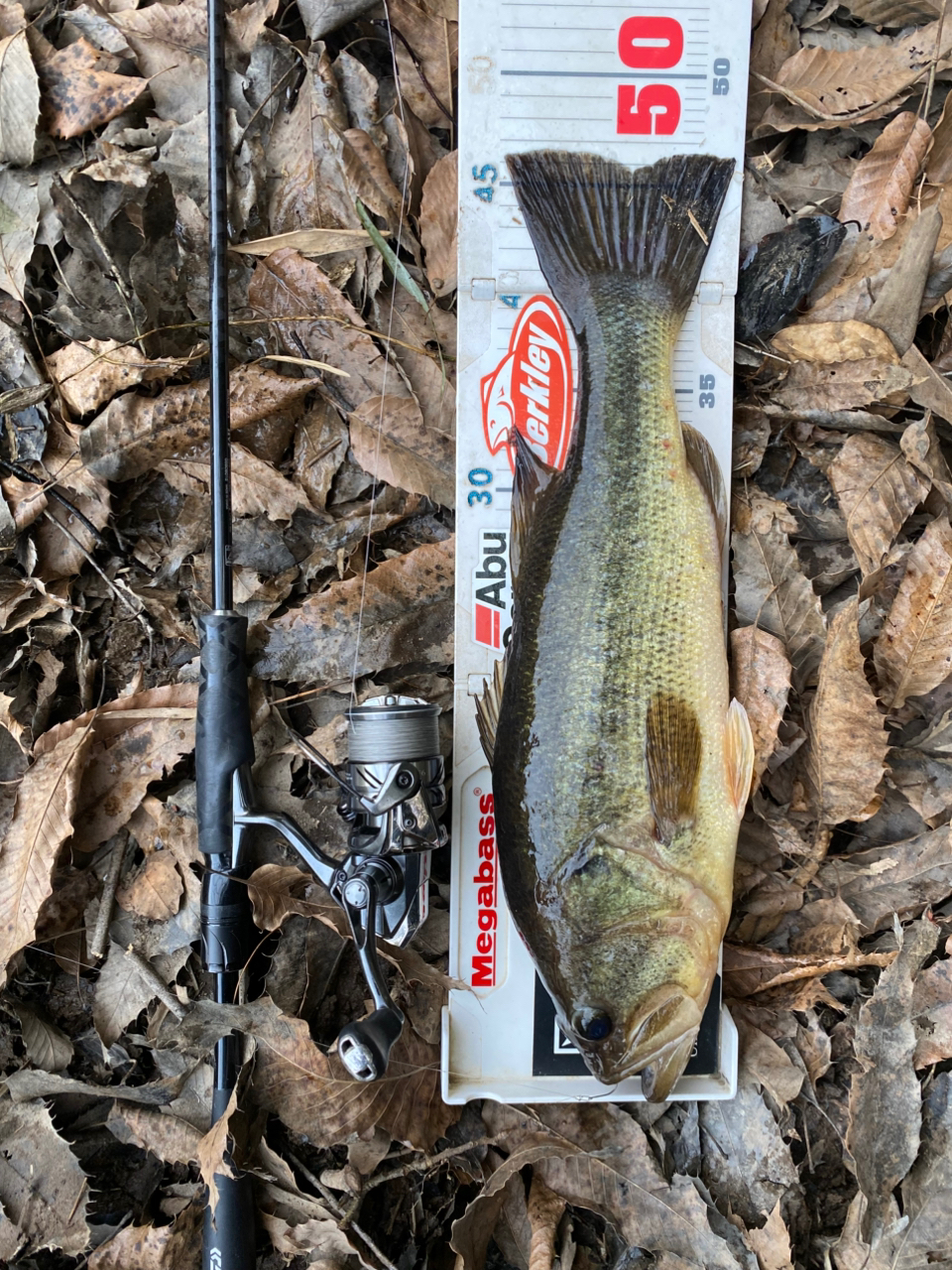 DAIWA 21ブレイゾン S67MLの最安値・インプレ・釣果 | 本音の