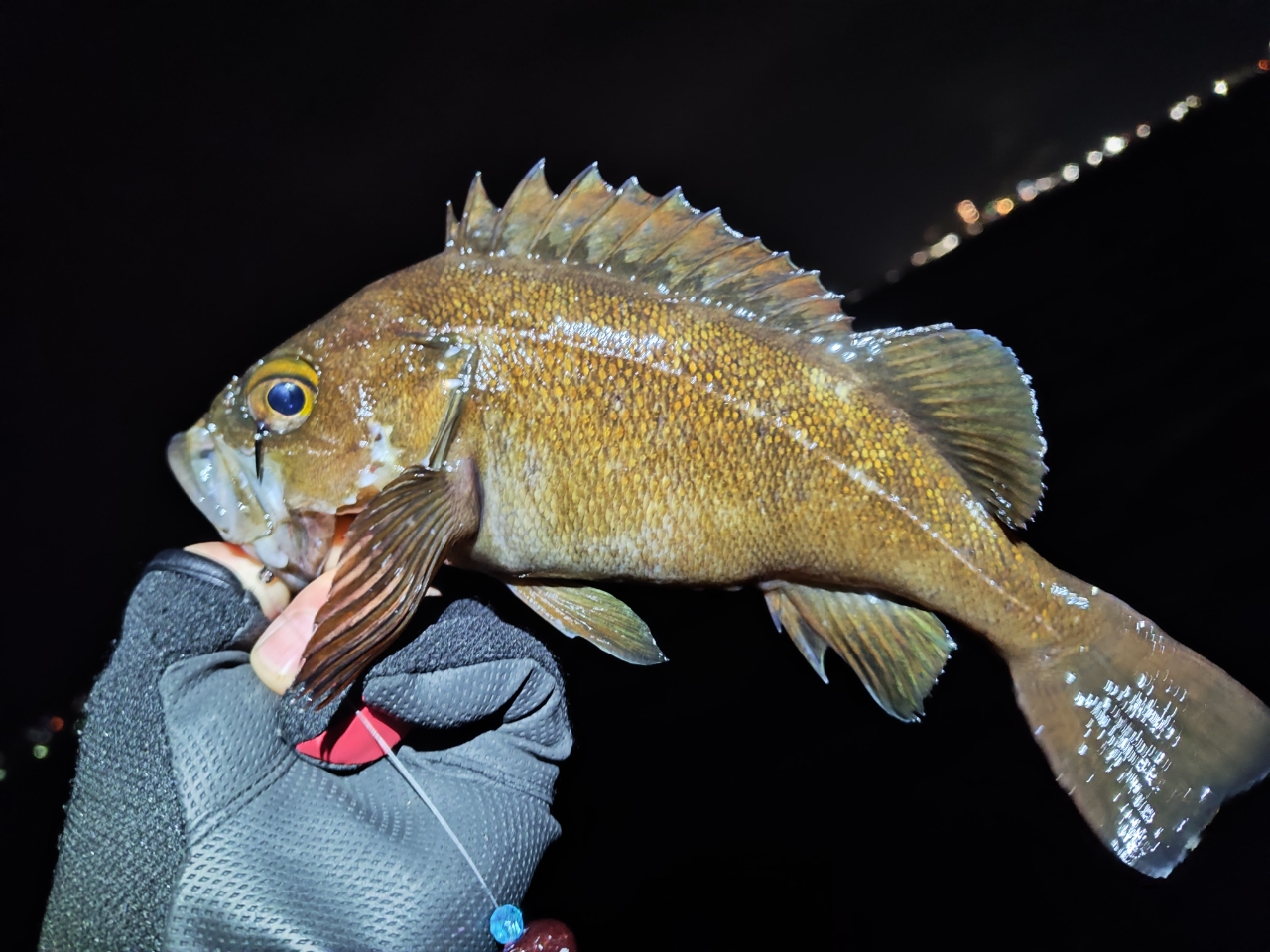 AbuGarcia ソルティーステージ・ロックフィッシュ SXRS-862MH-LA