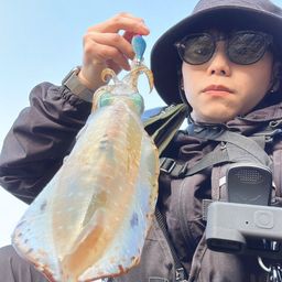 アオリイカ