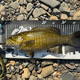 スモールマウスバス