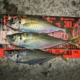 アジ