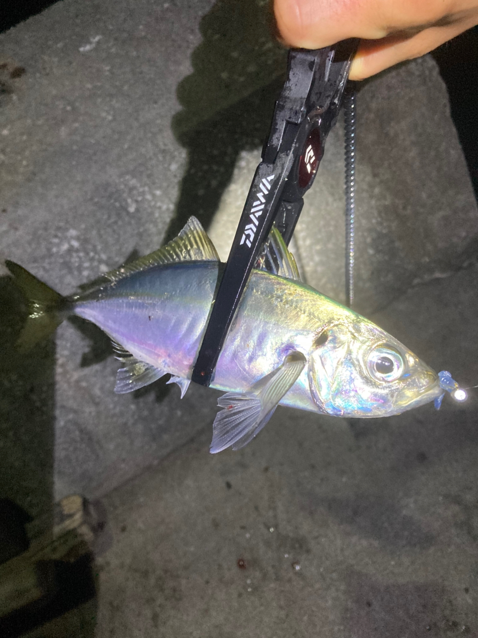 SHIMANO 19ソアレ BB アジング S64UL-Sの最安値・インプレ・釣果