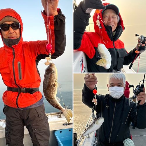 ショウサイフグの釣果