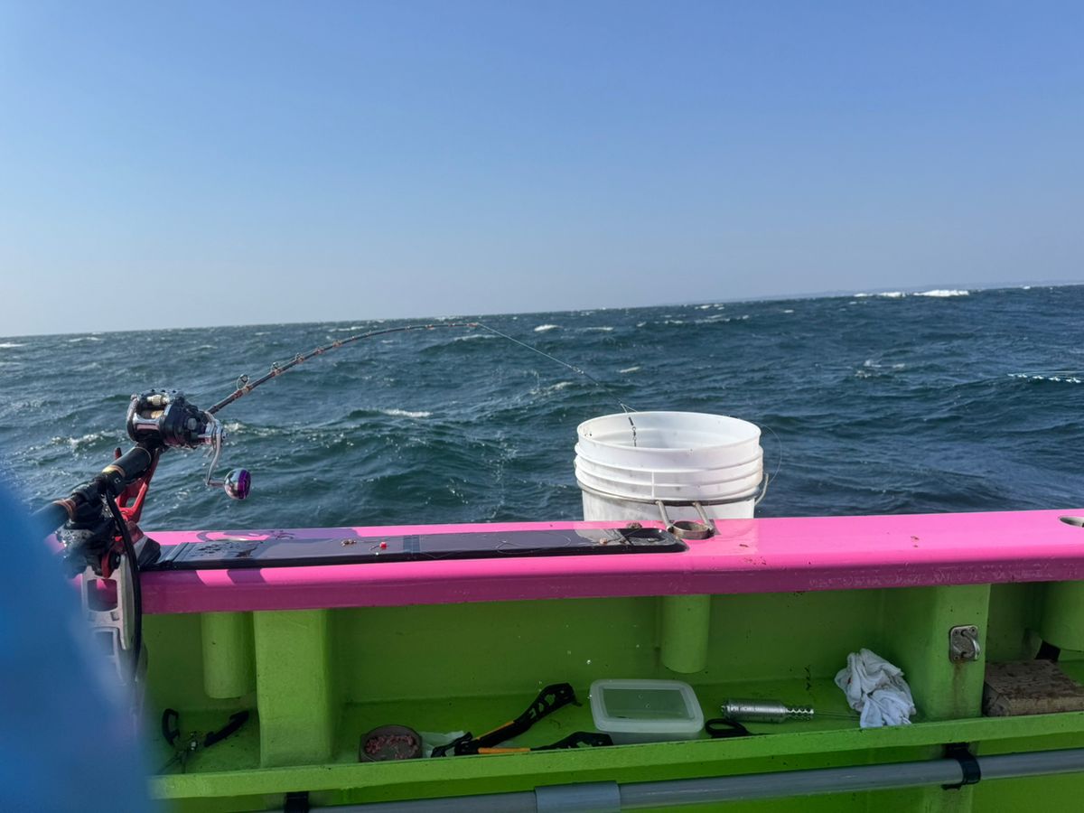 kunchanさんの釣果 3枚目の画像