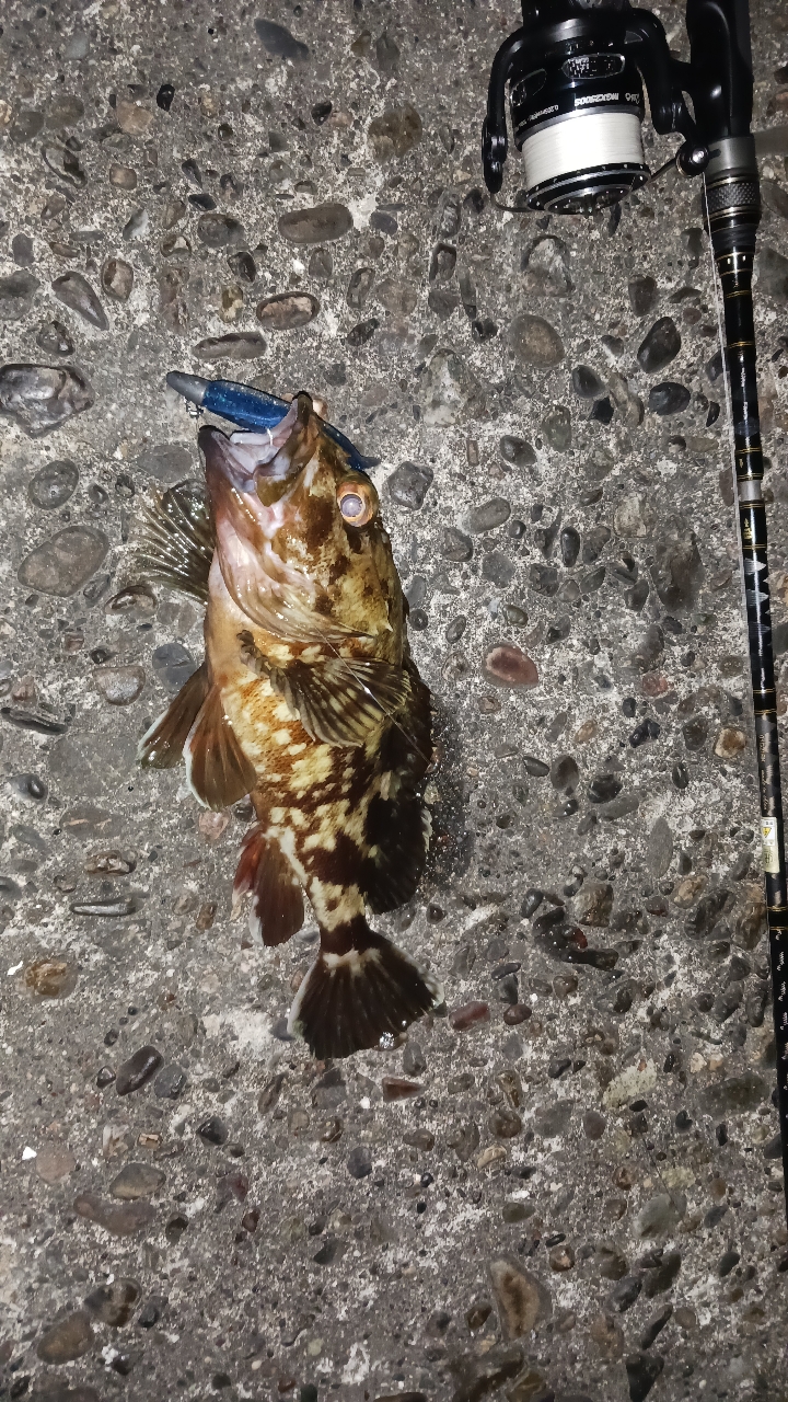 AbuGarcia クロスフィールド XRFS-835M-MBの最安値・インプレ