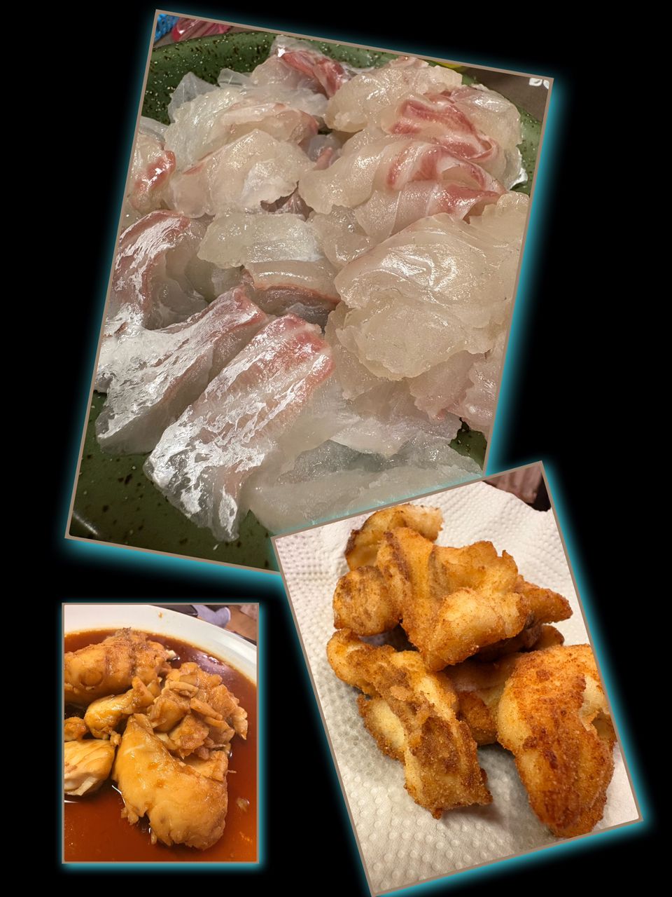 ポンポコポンさんの釣果 3枚目の画像